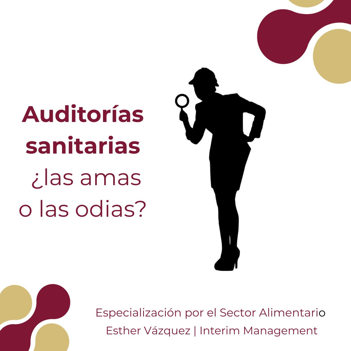 auditoría IFS